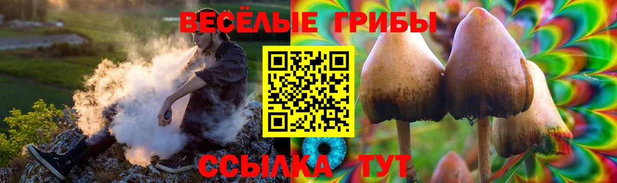 Гашиш Людиново